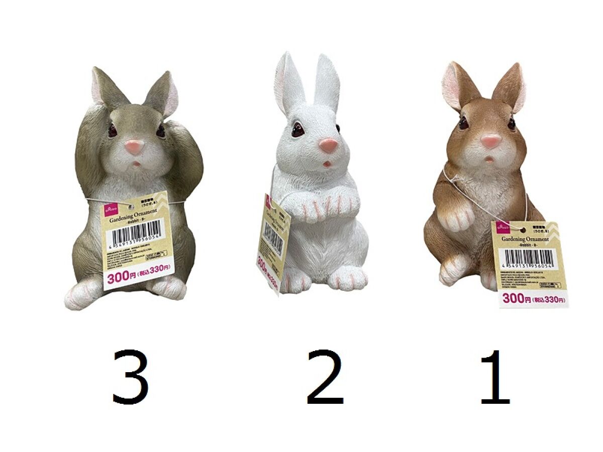 Daiso Gardening Ornament -Rabbit - B- FrontPackage