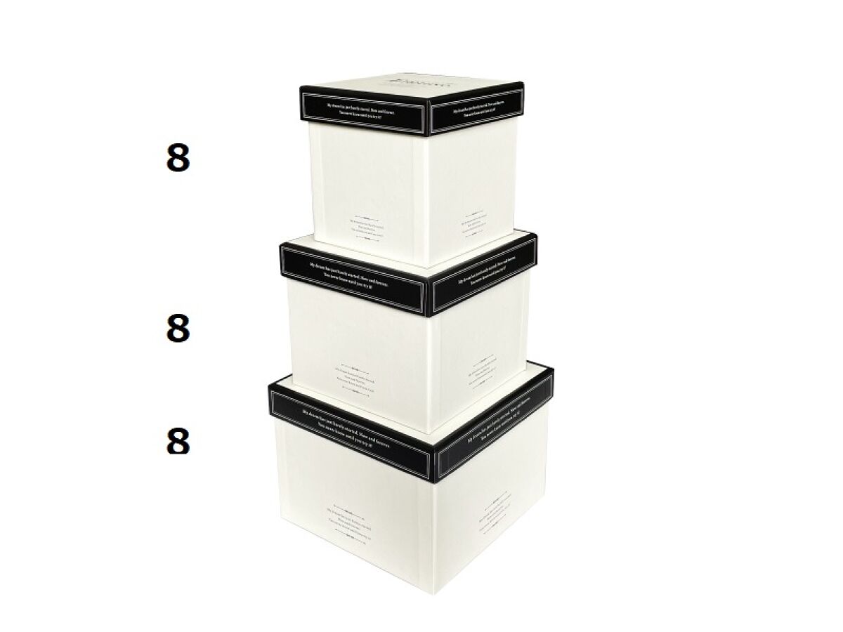 Daiso Paper Box -3 Sizes - Square - Elegant Monochrome- FrontPackage