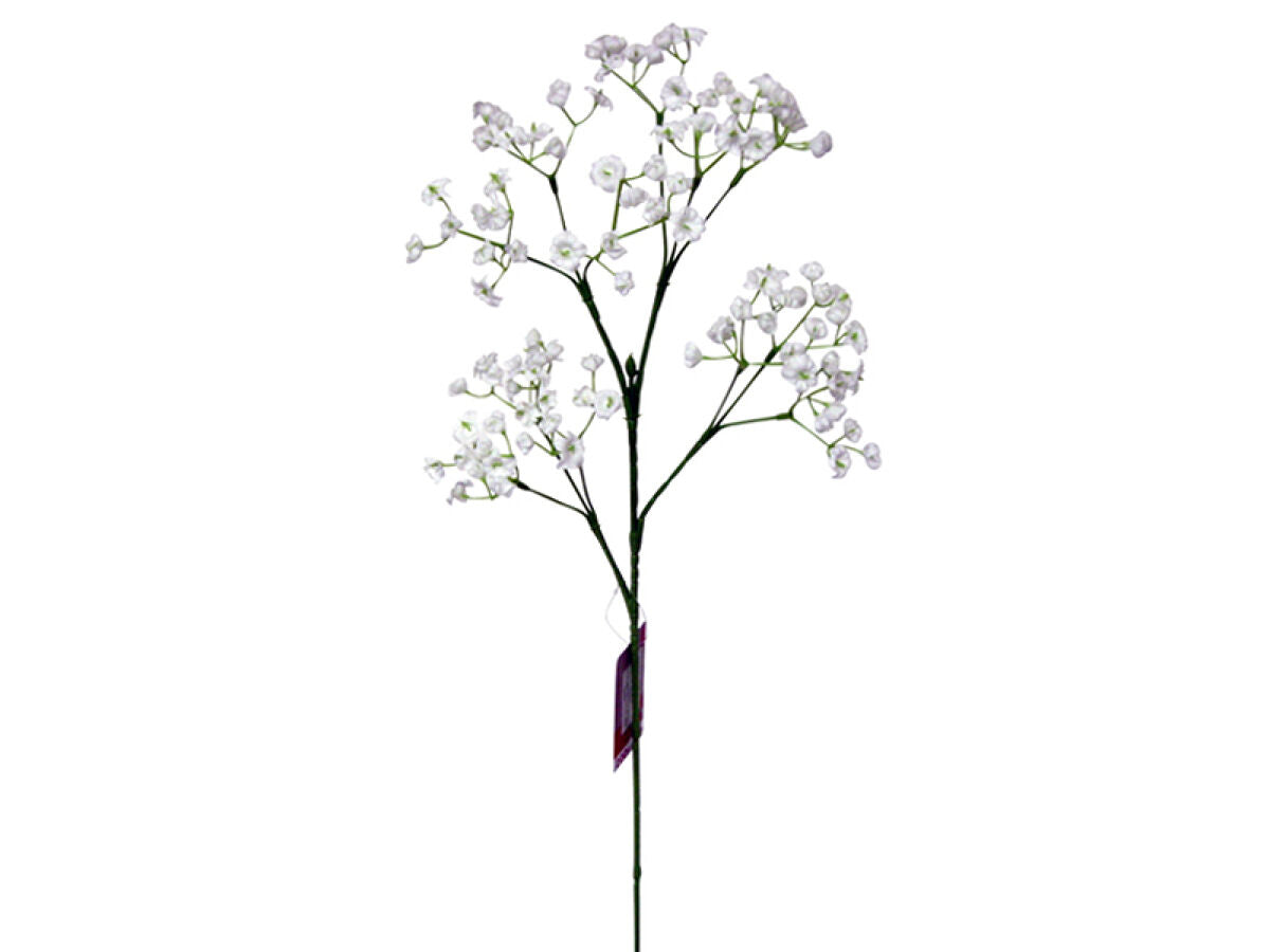Daiso Gypsophila FrontPackage