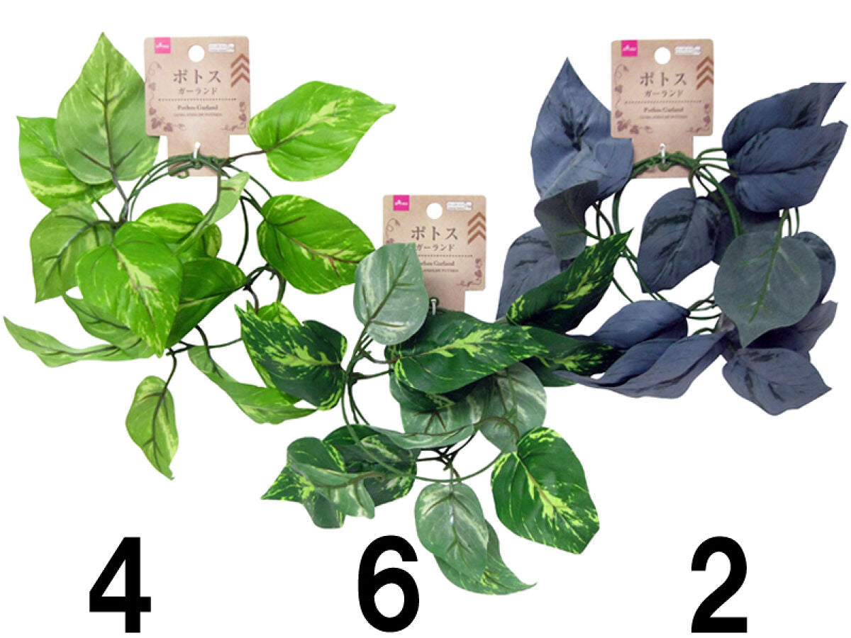 Daiso Pothos Garland FrontPackage