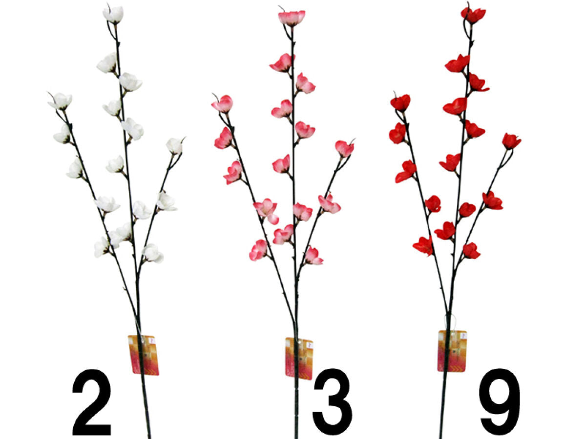 Daiso Plum FrontPackage