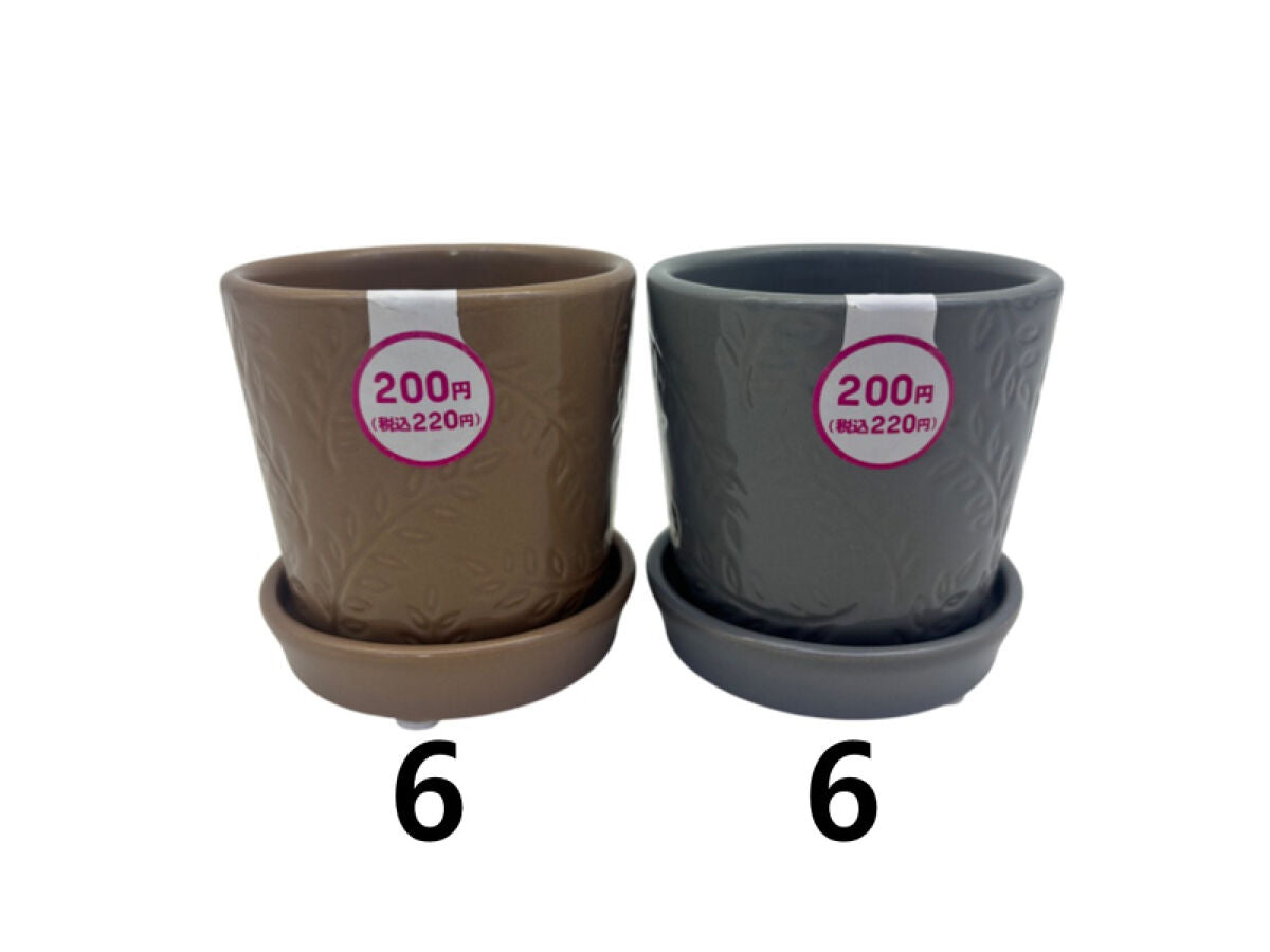 Daiso Flower Pot with Cane Handle FrontPackage