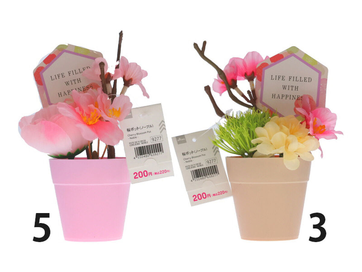 Daiso Cherry blossom Pot - Noble - FrontPackage