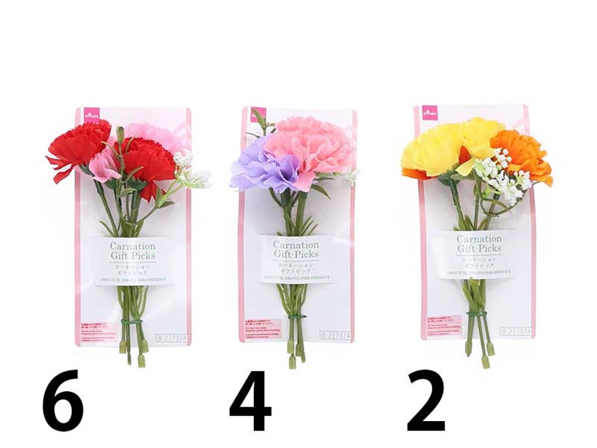Carnation Gift Picks