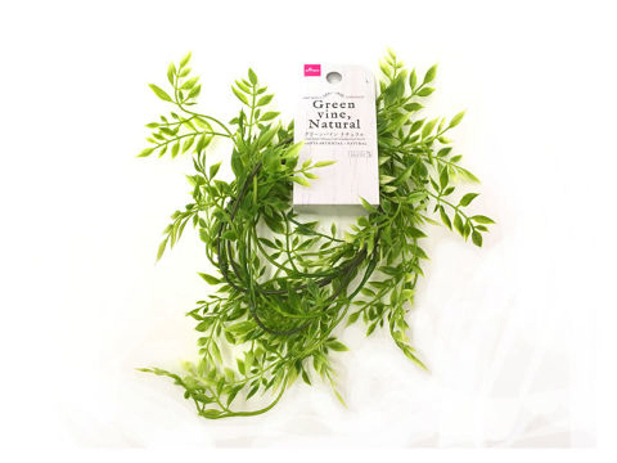 Daiso Green vine (Natural) FrontPackage