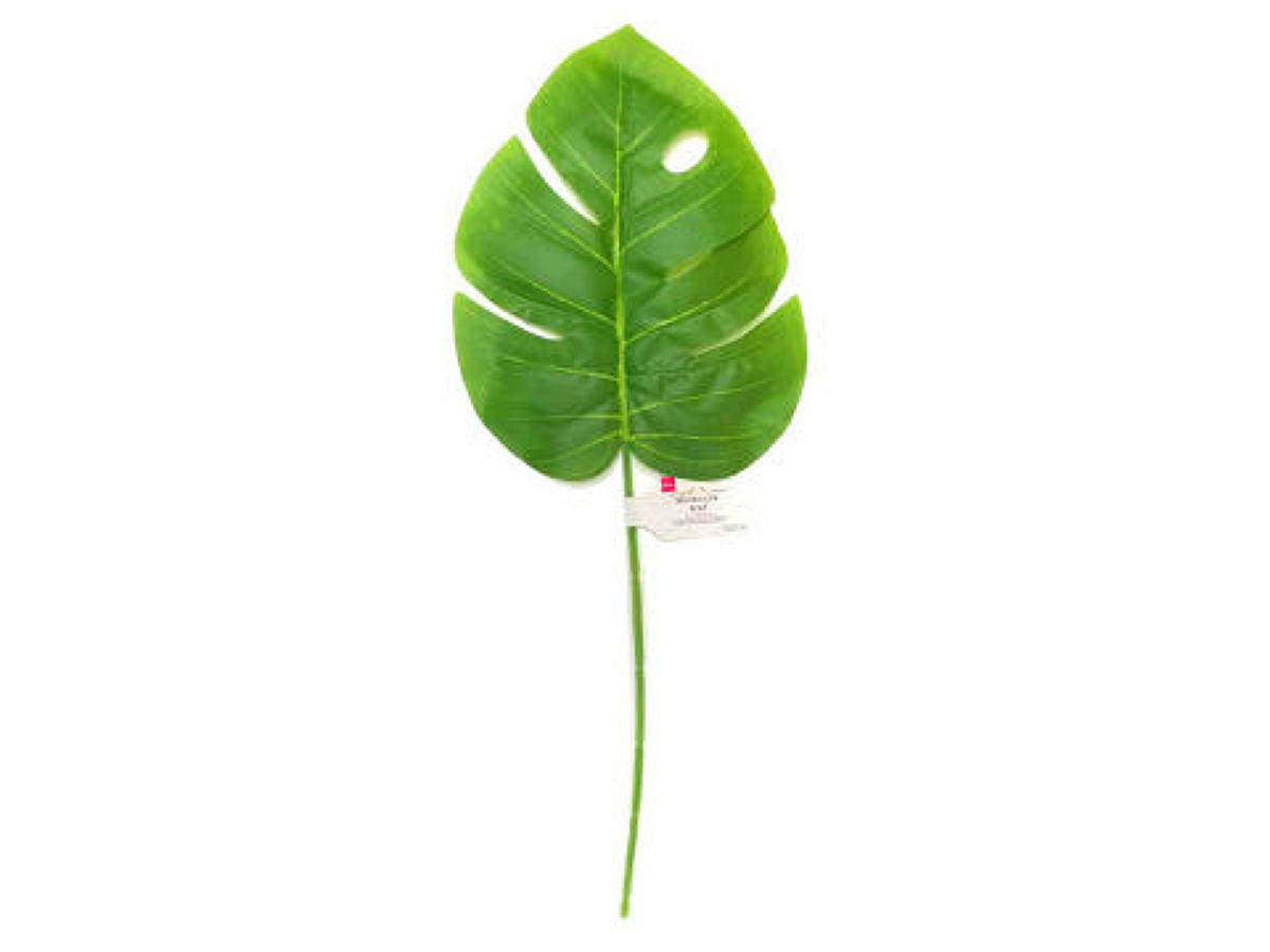 Daiso Monstera leaf FrontPackage