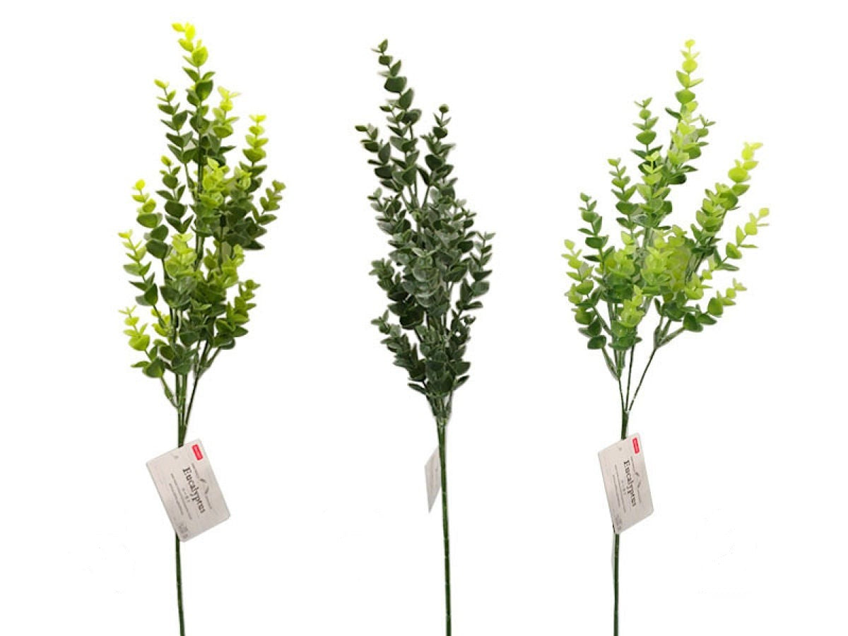 Daiso Eucalyptus FrontPackage