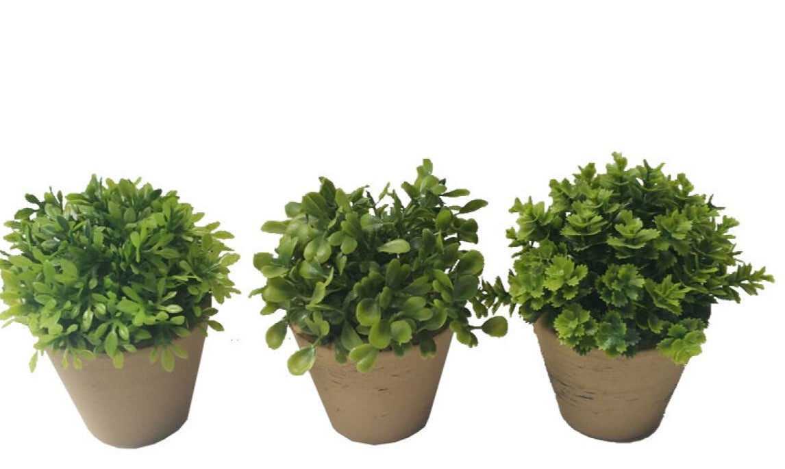 Green Pot Planter