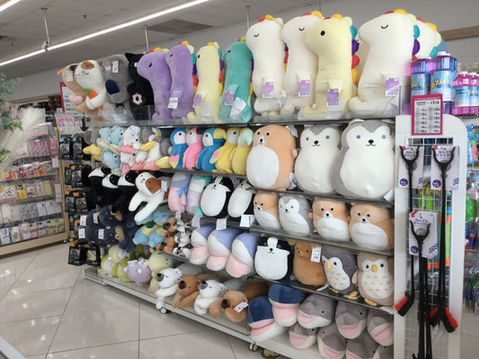 Daiso in Arlington, Texas!