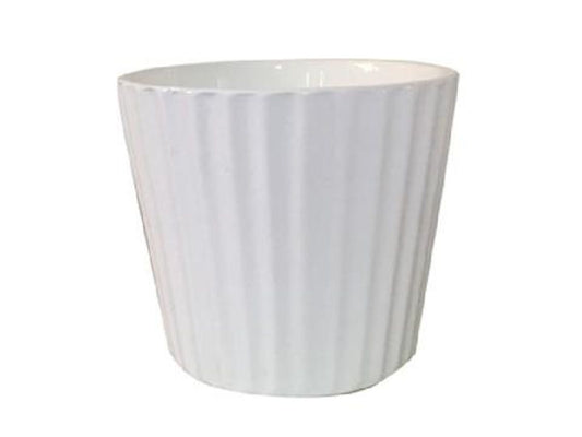 Daiso Plain Flower Pot stripel FrontPackage
