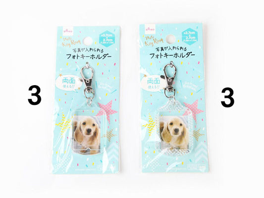 Daiso Photo Key Ring FrontPackage