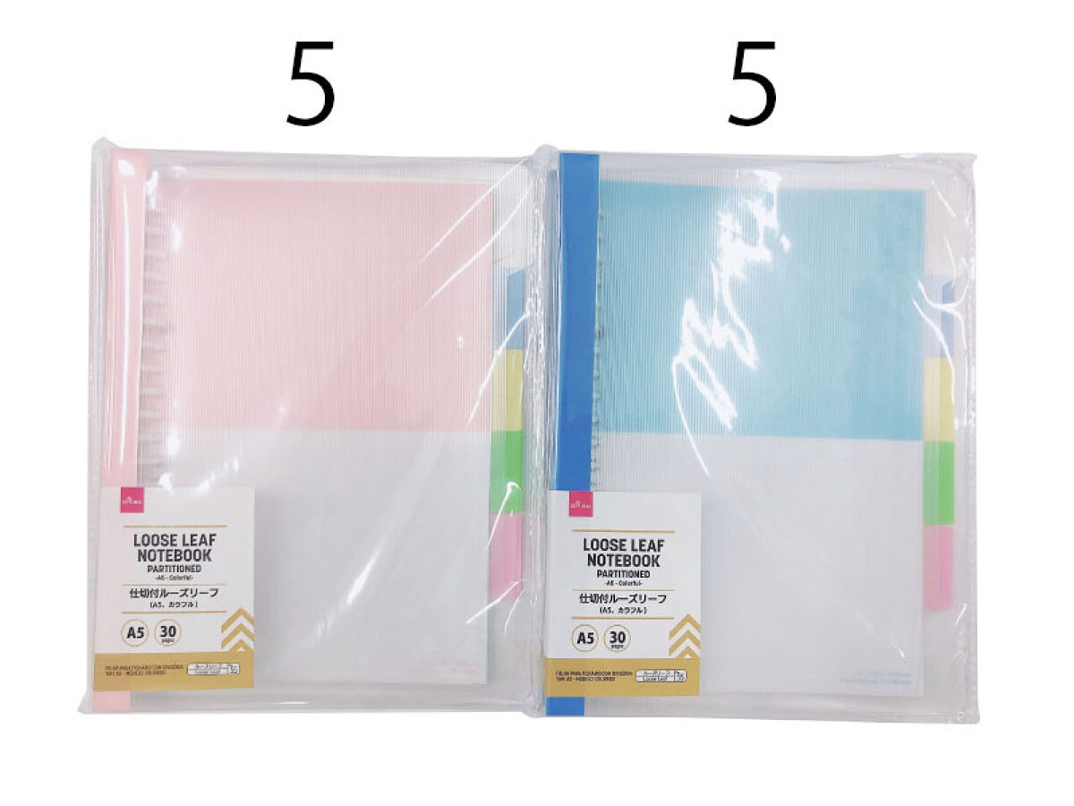 Daiso Partitioned Loose Leaf Notebook -A5 - Colorful- FrontPackage