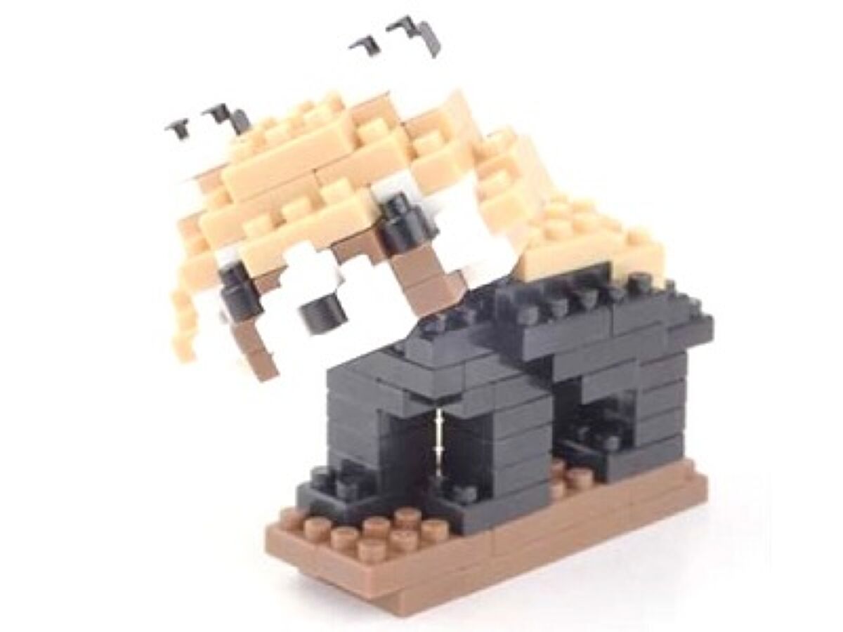 Daiso Petit Blocks -Lesser Panda- FrontPackage