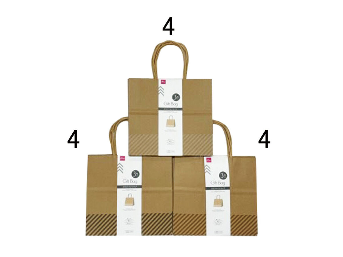 Daiso Gift Bag -Craftstripe - 3 pcs.- FrontPackage