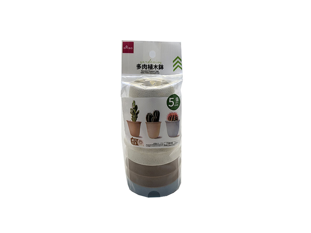 Daiso Succulent Flowerpot Case -5 pcs.- FrontPackage
