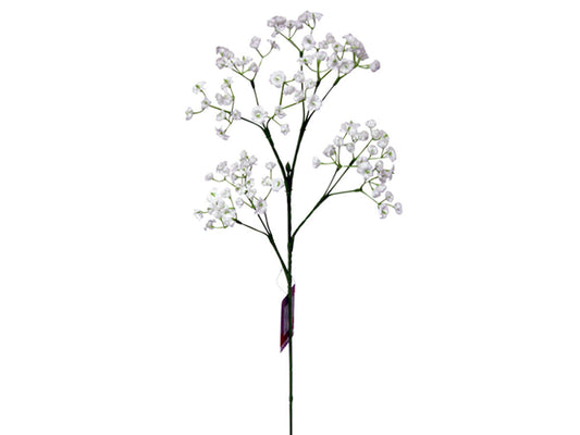 Daiso Gypsophila FrontPackage