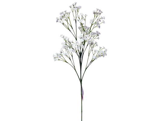 Daiso Gypsophila FrontPackage