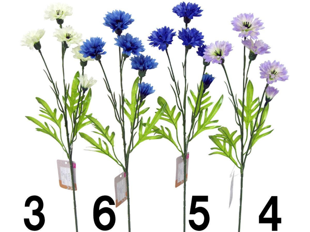 Daiso CORNFLOWER FrontPackage