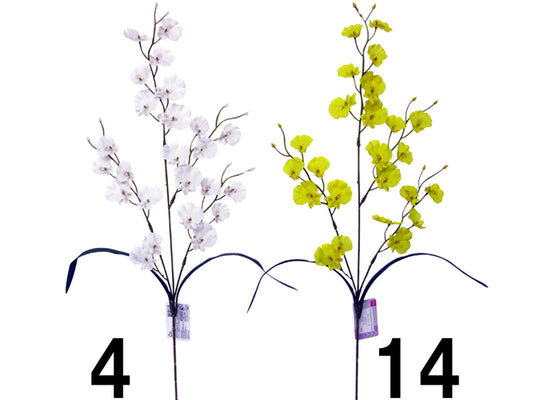 Daiso Oncidium FrontPackage