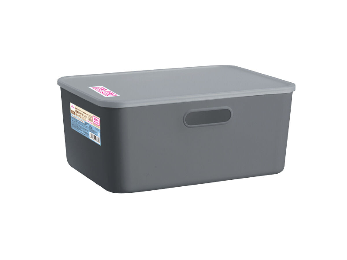 Daiso R35 Box -Gray- FrontPackage