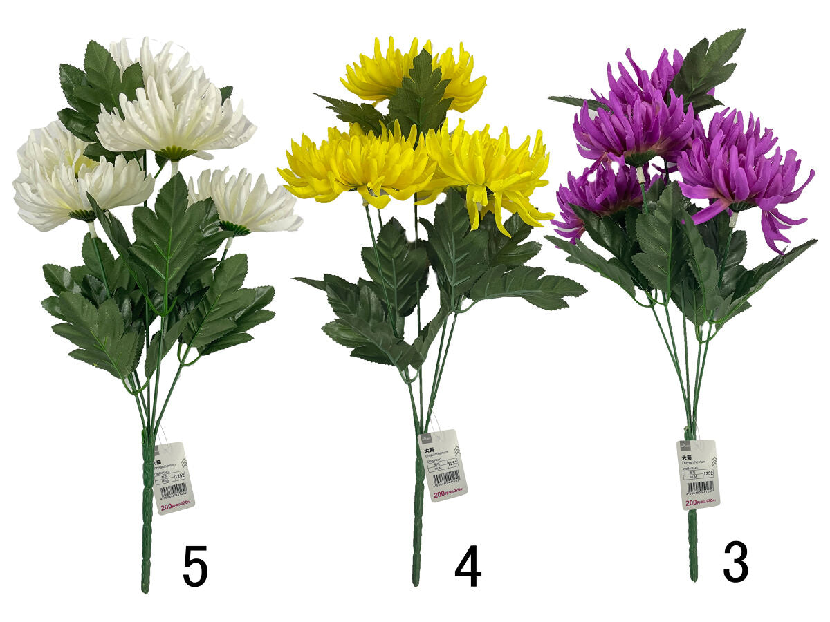 Daiso Chrysanthemum FrontPackage