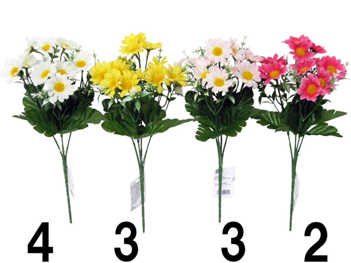 Daiso Daisy Mixed Bush FrontPackage