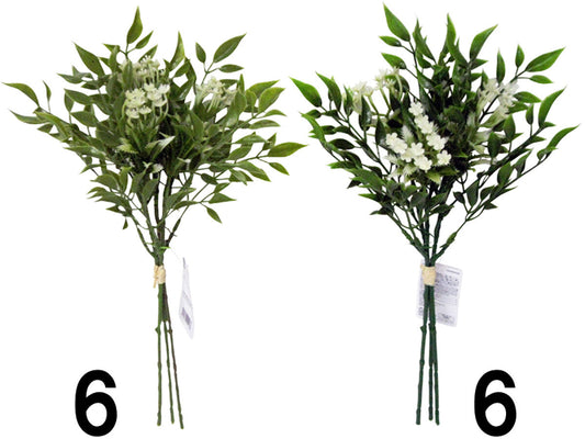Daiso Green Mixed Bundle FrontPackage