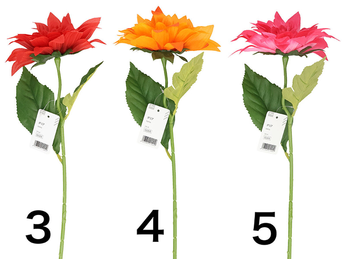 Daiso Dahlia FrontPackage