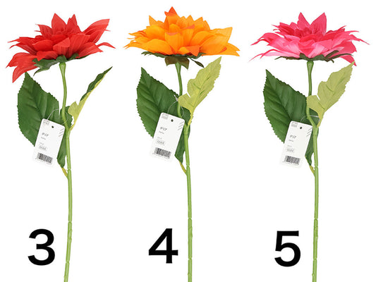 Daiso Dahlia FrontPackage