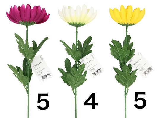 Daiso Single Mum FrontPackage