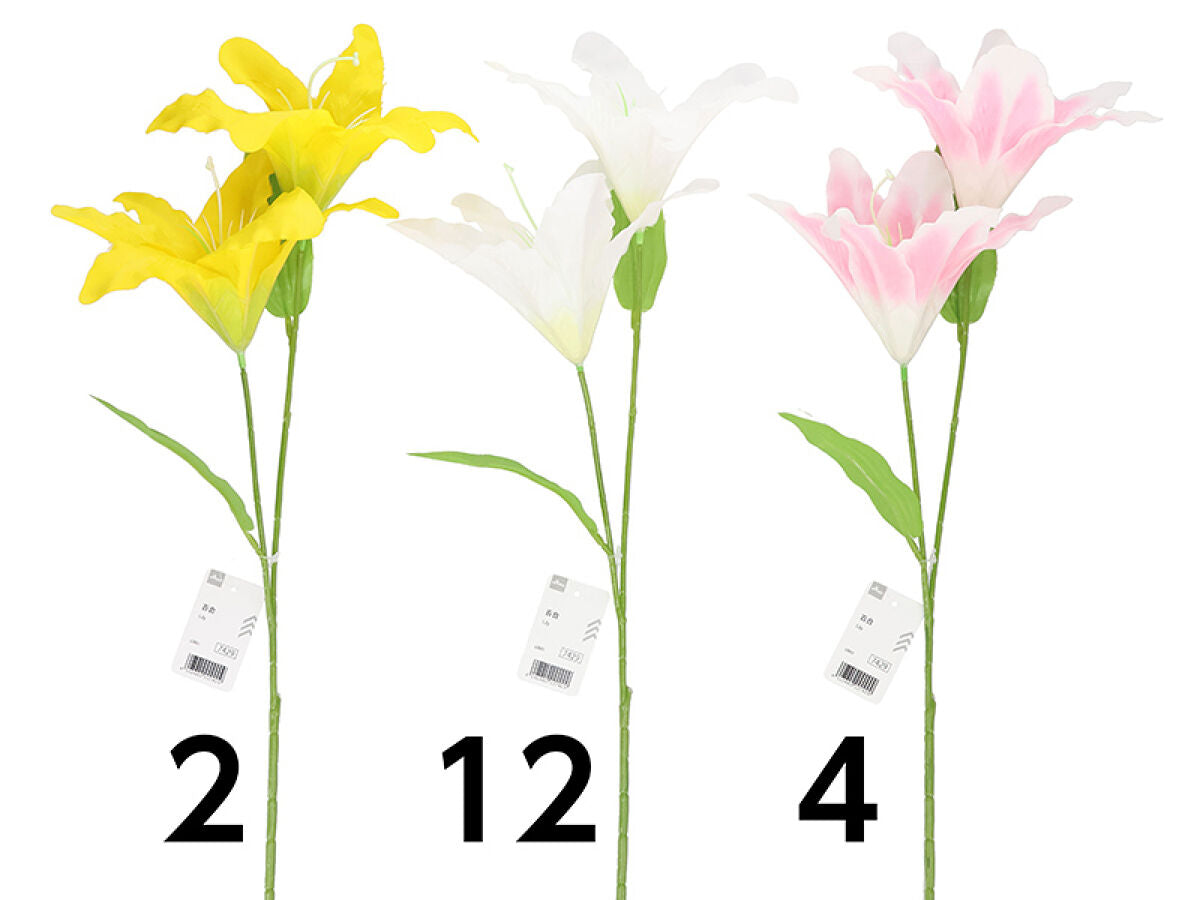 Daiso Lily FrontPackage