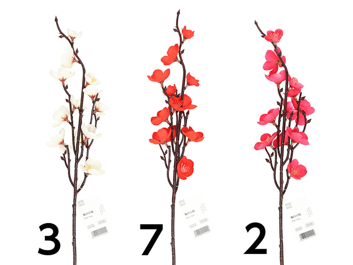 Daiso Plum Twig FrontPackage