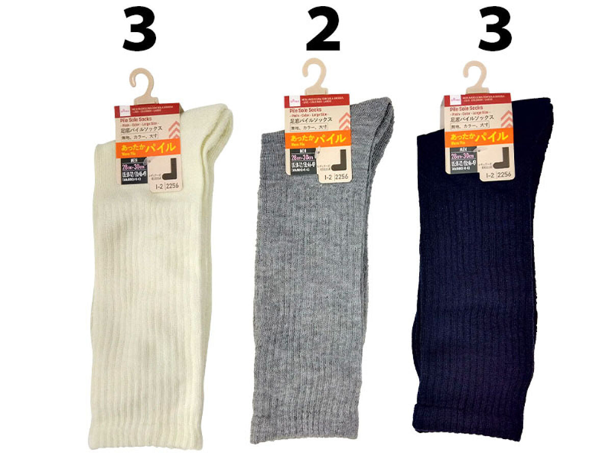 Daiso Pile Sole Socks - Mens - Plain - Color - Large Size - FrontPackage