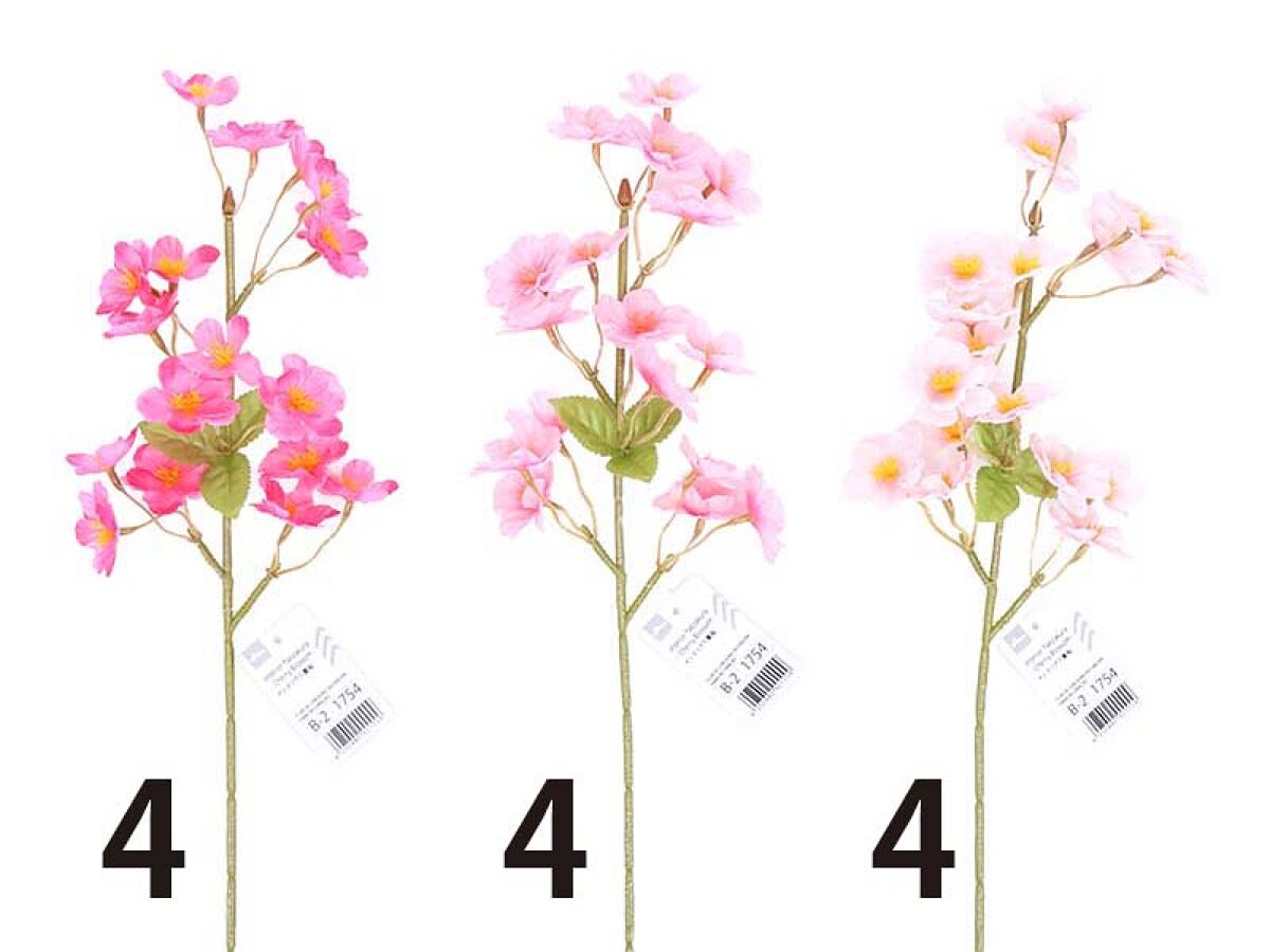 Daiso Interior Yaezakura - Cherry Blossom - FrontPackage