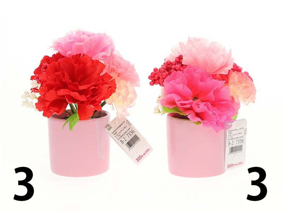 Daiso Carnation Arrangement Pot - Noble - FrontPackage