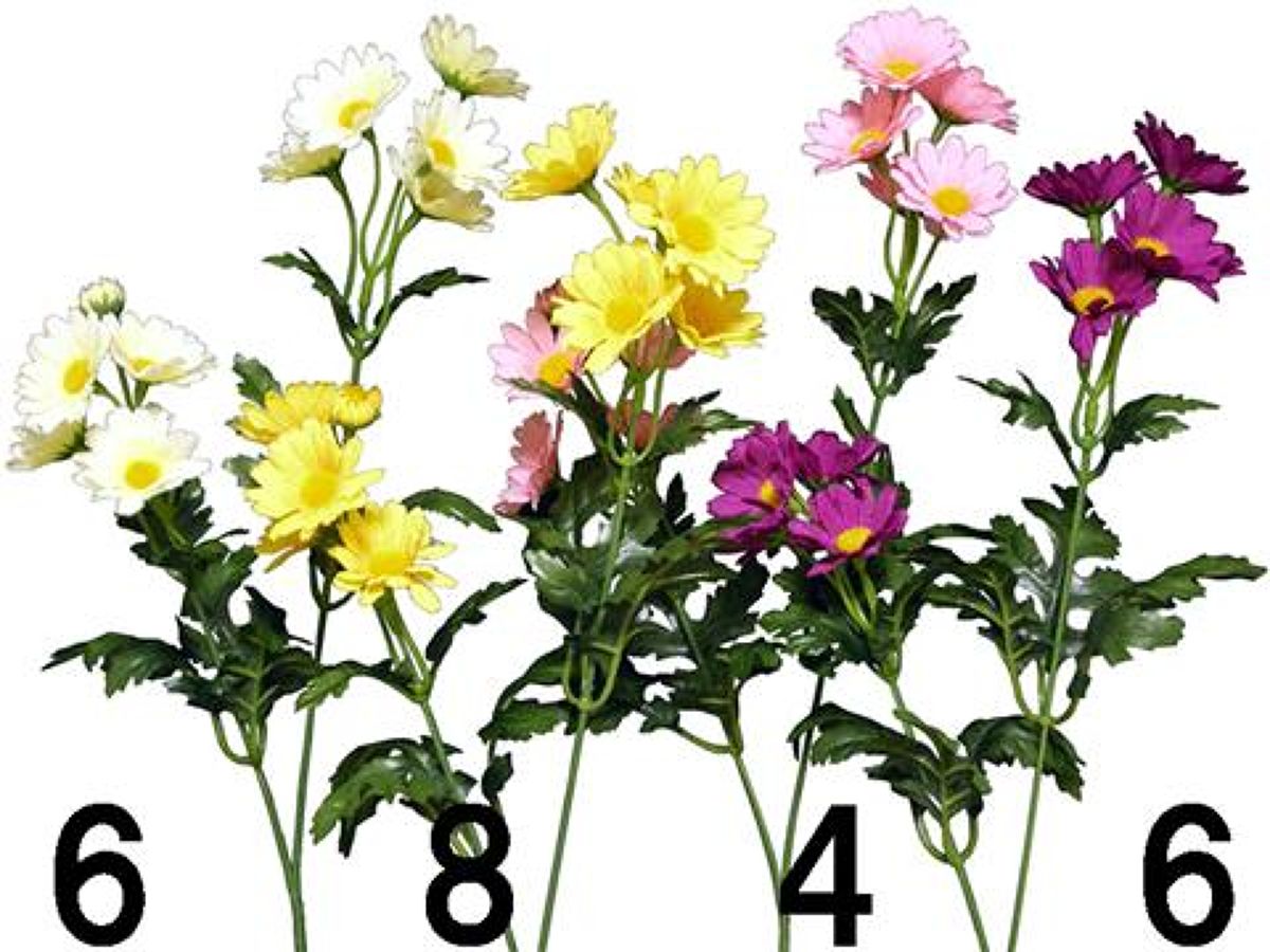 Daiso Small Mum FrontPackage