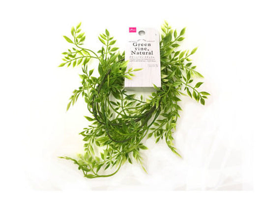 Daiso Green vine (Natural) FrontPackage