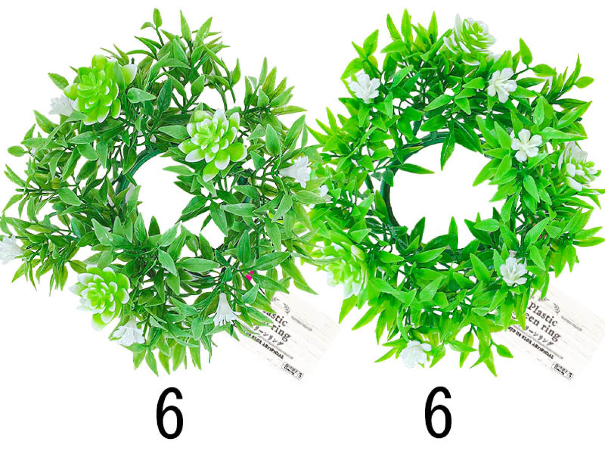 Daiso Plastic green ring FrontPackage