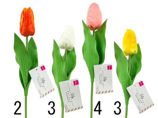Daiso Tulip FrontPackage