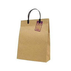 Kraft Gift Bag With Handle M